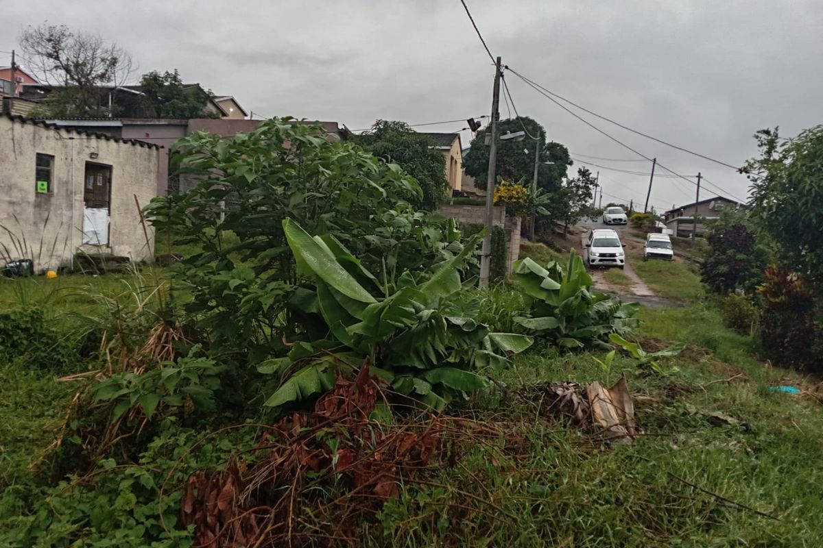 A view of the street frontage and access road leading to the residential property, featuring overhead utility lines and surrounding vegetation.