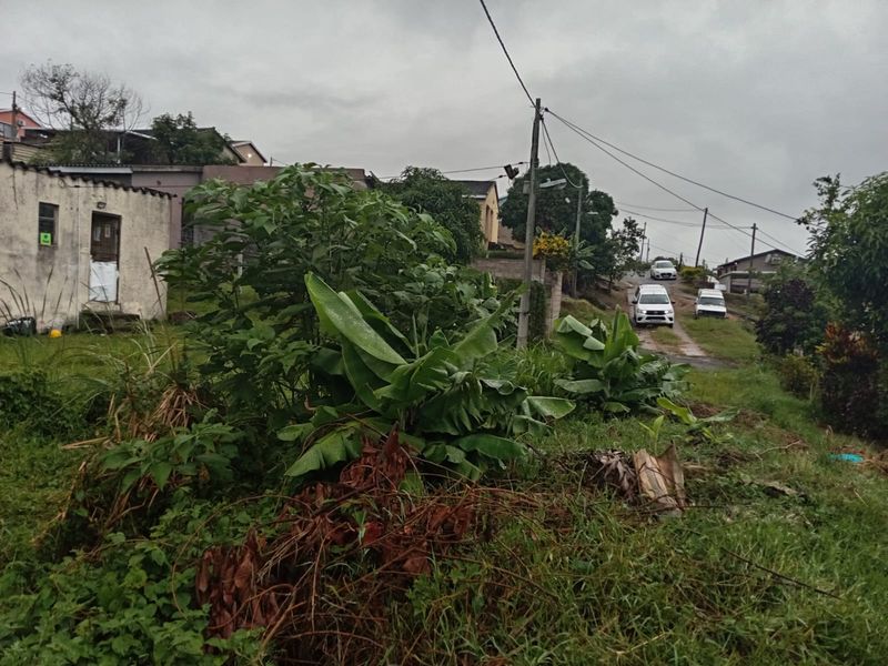 A view of the street frontage and access road leading to the residential property, featuring overhead utility lines and surrounding vegetation.