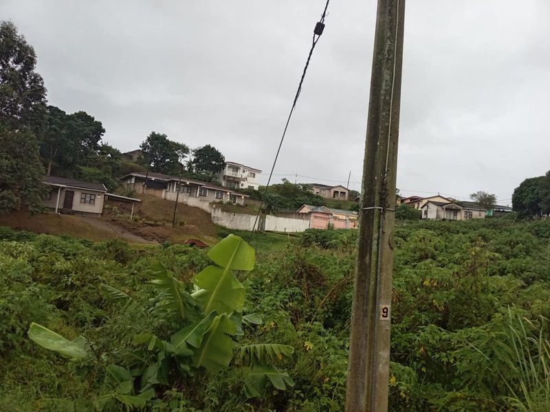 A view of a residential area featuring a utility pole and surrounding vegetation with neighboring houses visible in the background.