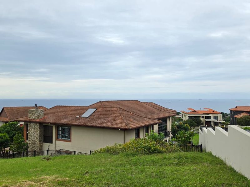 Elevated view overlooking a residential neighborhood with a clear horizon line and ocean backdrop.