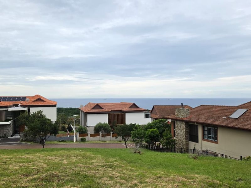 A scenic view overlooking a residential neighborhood with established homes and a distant ocean horizon.