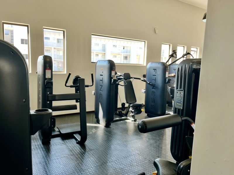 A well-maintained gym facility featuring durable rubberized flooring and multiple windows providing natural light.