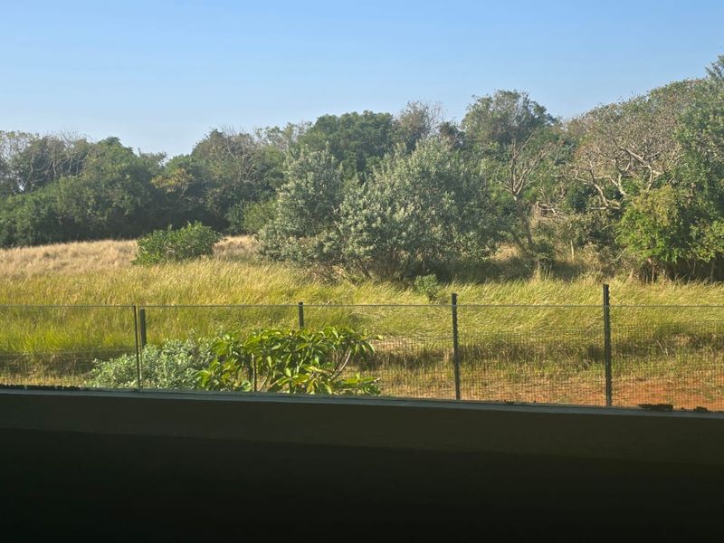 A scenic view overlooking a natural landscape with indigenous vegetation, featuring a modern glass balustrade in the foreground.