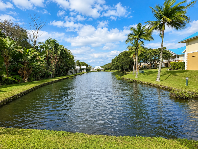 A scenic view of a tranquil canal surrounded by lush green lawns, mature palm trees, and well-maintained landscaping within the estate.
