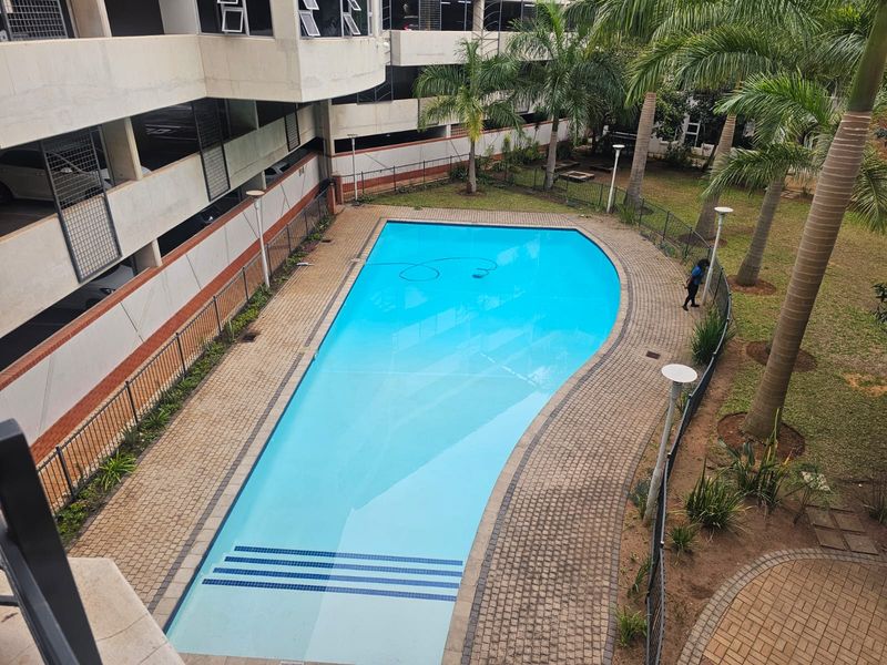 An elevated view of a communal swimming pool area featuring a paved deck, perimeter fencing, and established palm trees within the apartment complex grounds.