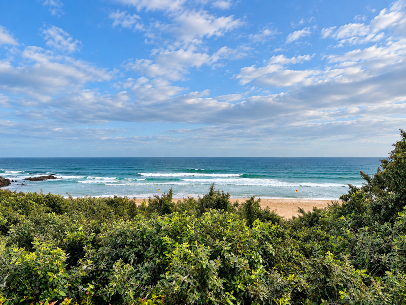 A scenic elevated view overlooking the ocean, sandy beach, and coastal vegetation.