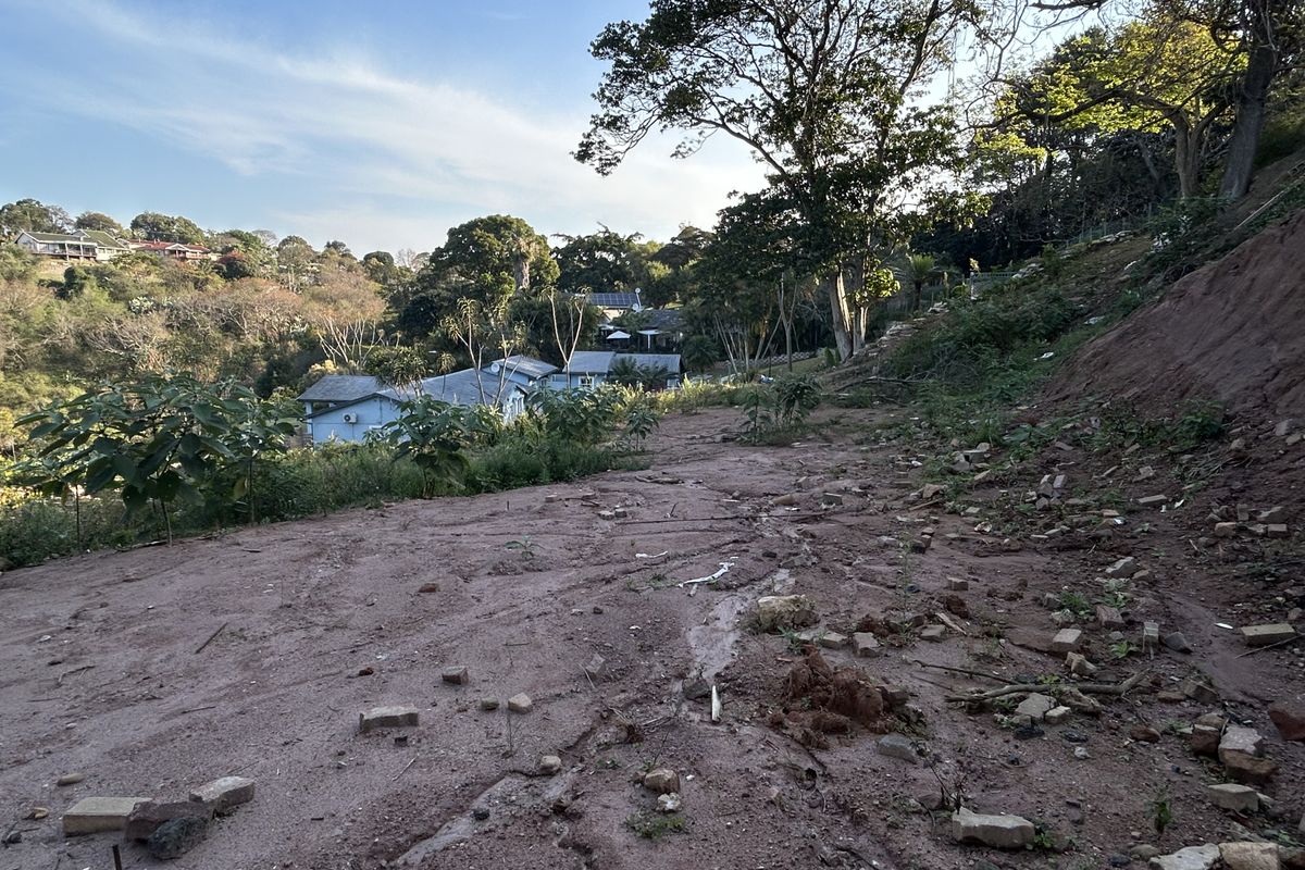 A view of a sloped, vacant residential plot featuring natural vegetation and mature trees, overlooking the surrounding neighborhood.