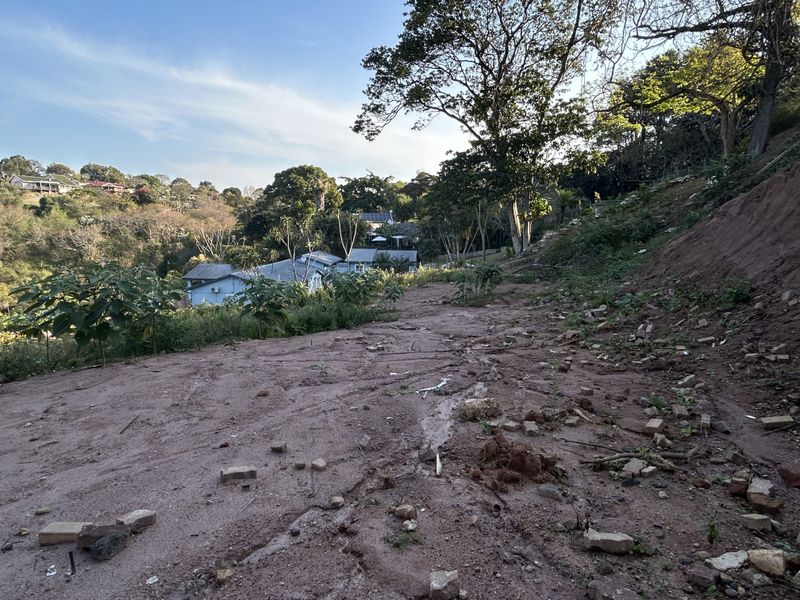 A view of a sloped, vacant residential plot featuring natural vegetation and mature trees, overlooking the surrounding neighborhood.