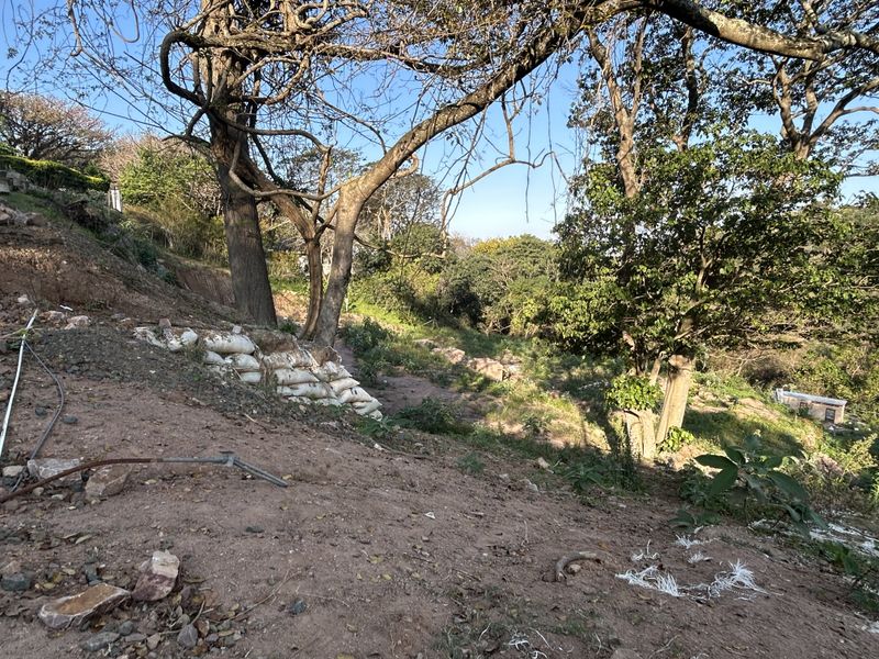 A sloped residential plot featuring mature trees and a temporary sandbag retaining wall, offering potential for terraced landscaping development.