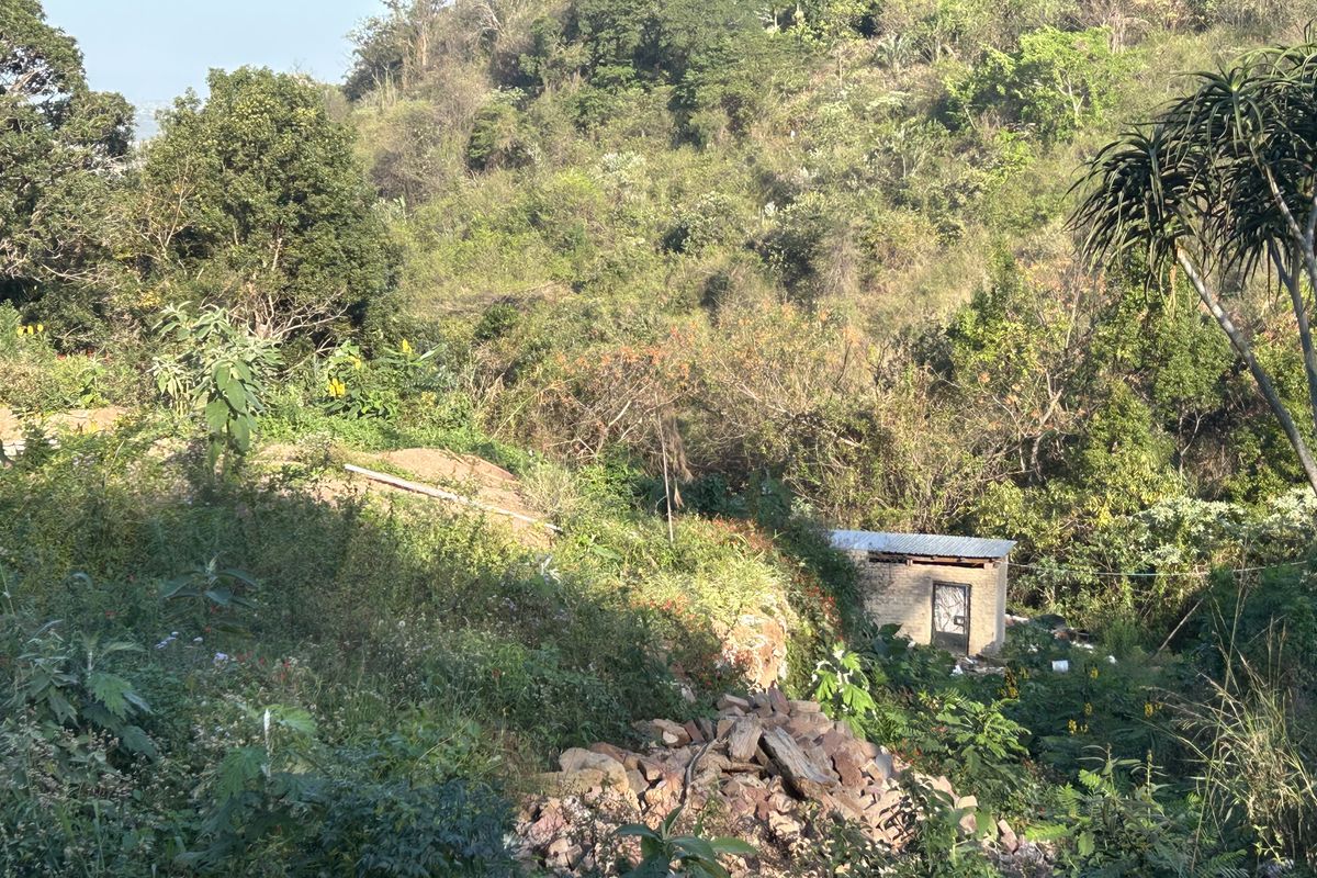 A view of a sloped residential plot featuring dense natural vegetation and a small, weathered brick utility structure with a metal roof.