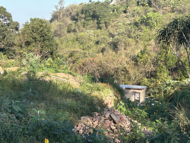 A view of a sloped residential plot featuring dense natural vegetation and a small, weathered brick utility structure with a metal roof.