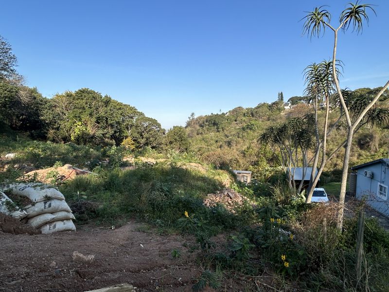 A sloped residential vacant land plot featuring natural vegetation, mature trees, and an elevated outlook over the surrounding landscape.