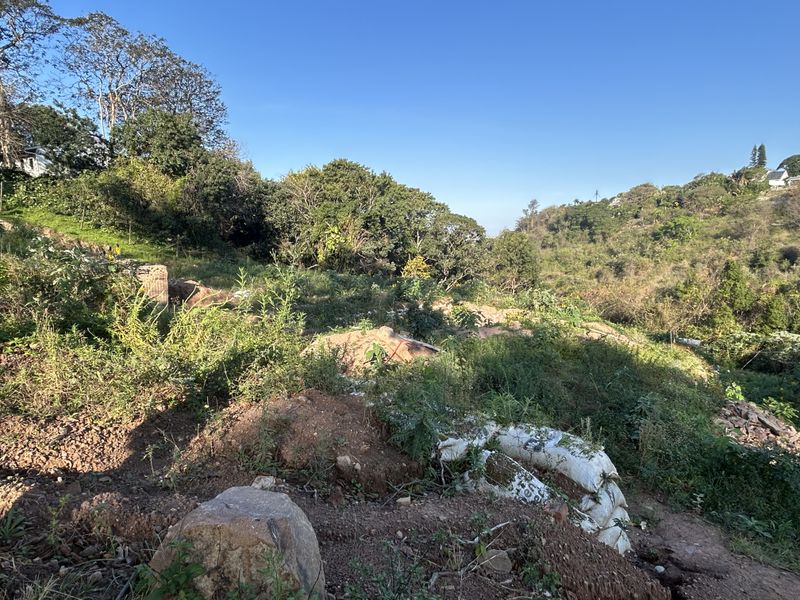 A sloped, undeveloped residential plot featuring natural vegetation, uneven terrain, and mature trees, offering potential for landscaping or future construction.