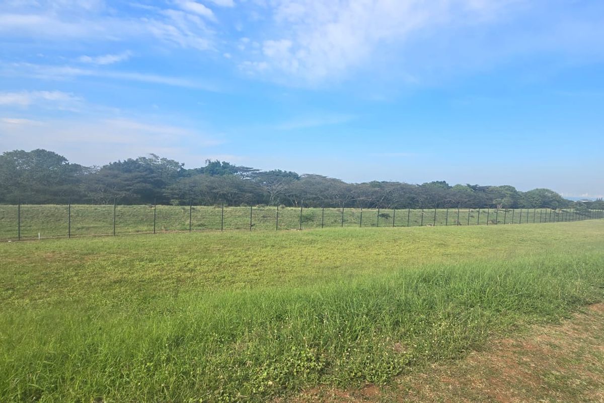 A wide, open residential plot featuring established grass cover and perimeter fencing, bordered by mature trees in the background.
