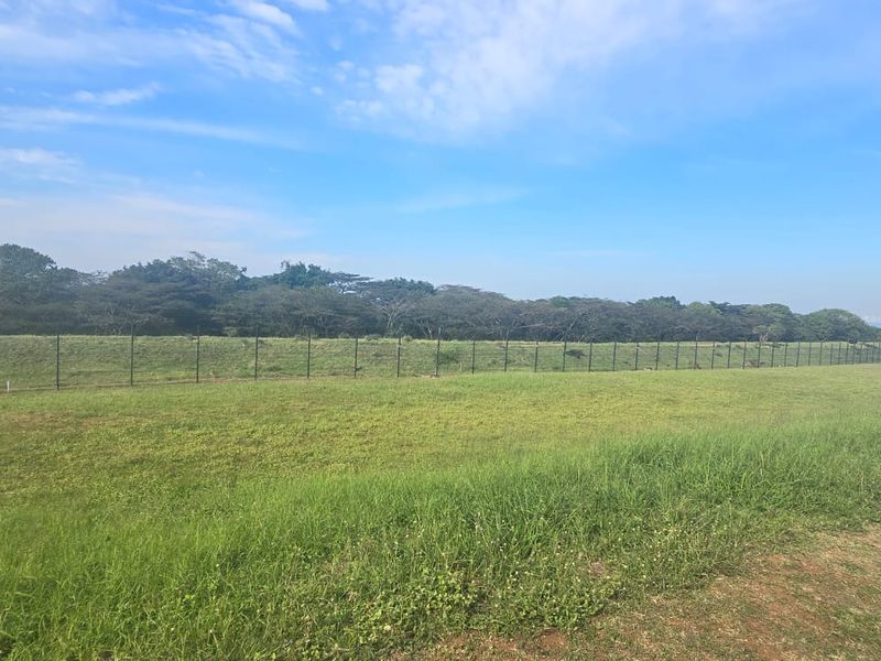 A wide, open residential plot featuring established grass cover and perimeter fencing, bordered by mature trees in the background.