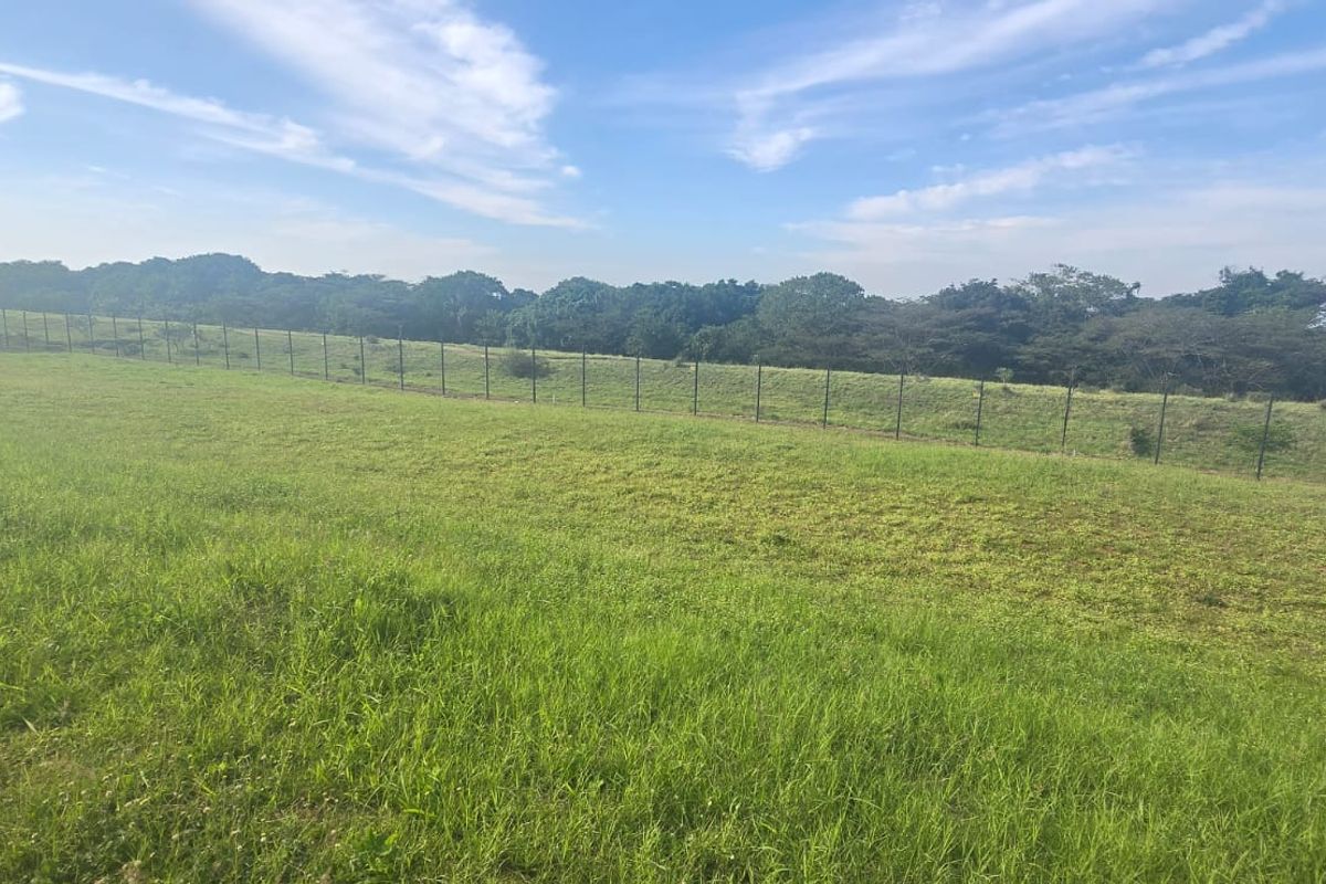 A view of a large, grassy vacant residential plot featuring a gentle slope and perimeter fencing, bordered by mature trees.