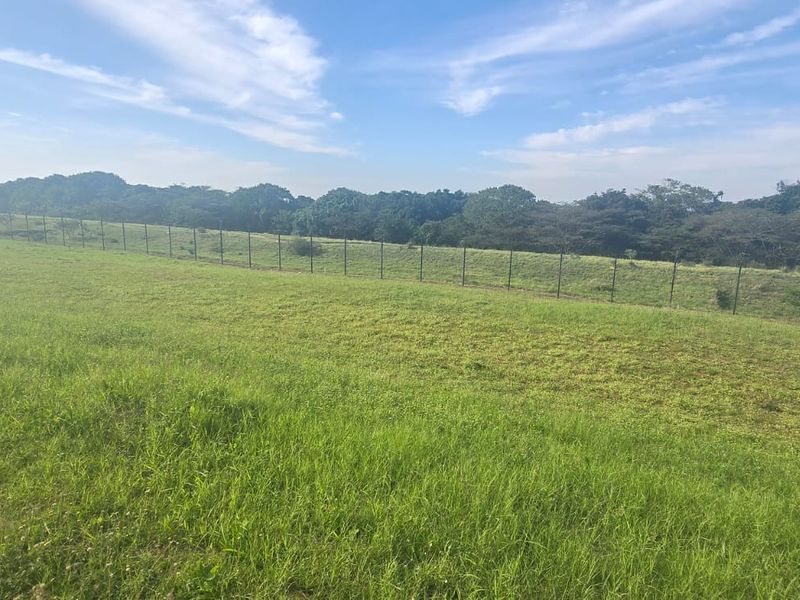 A view of a large, grassy vacant residential plot featuring a gentle slope and perimeter fencing, bordered by mature trees.
