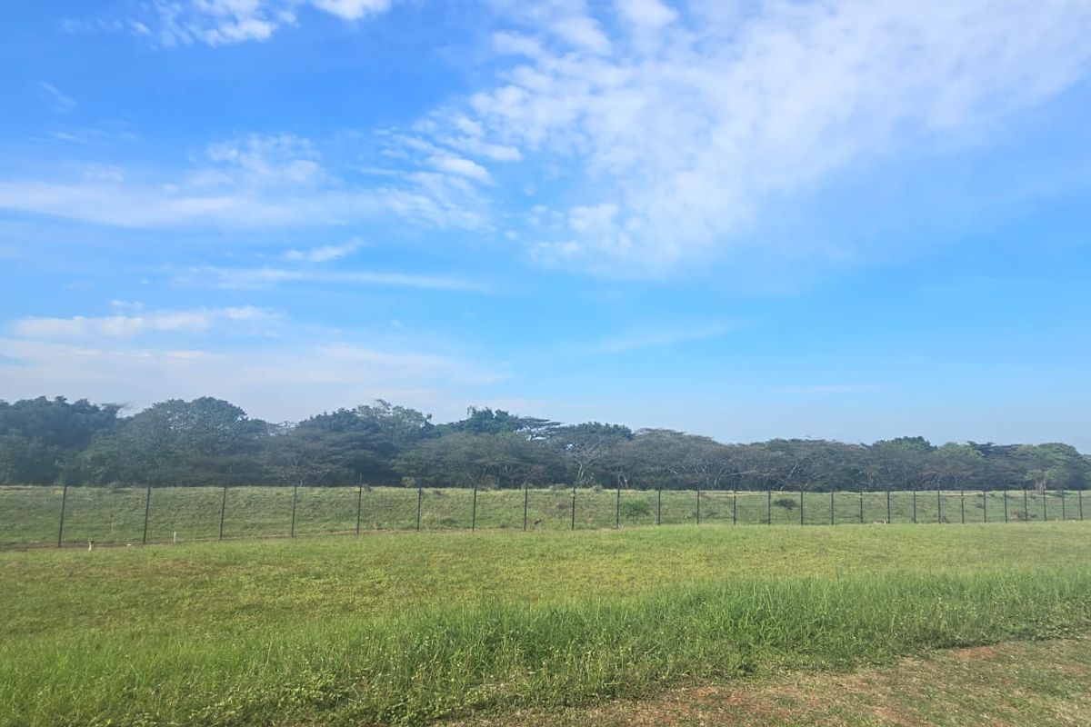 A wide, open residential plot featuring expansive grass coverage and secure perimeter fencing, bordered by mature trees.