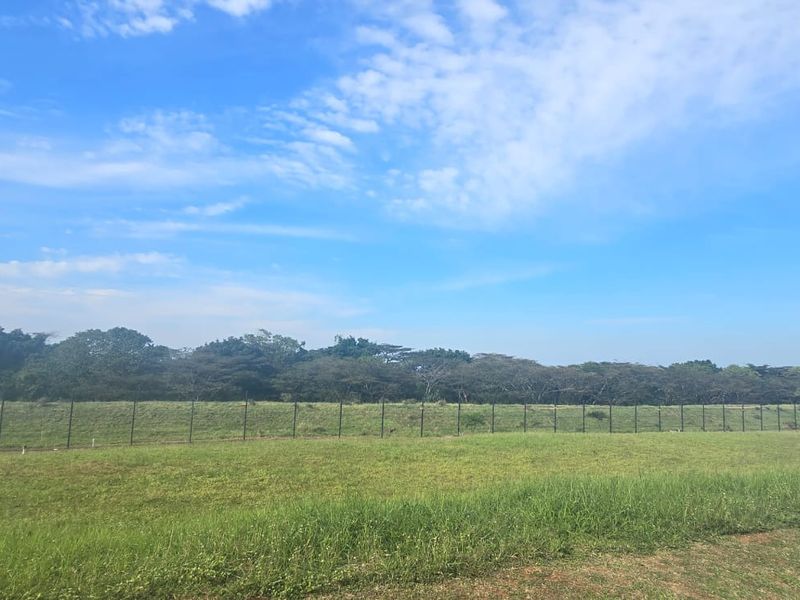 A wide, open residential plot featuring expansive grass coverage and secure perimeter fencing, bordered by mature trees.