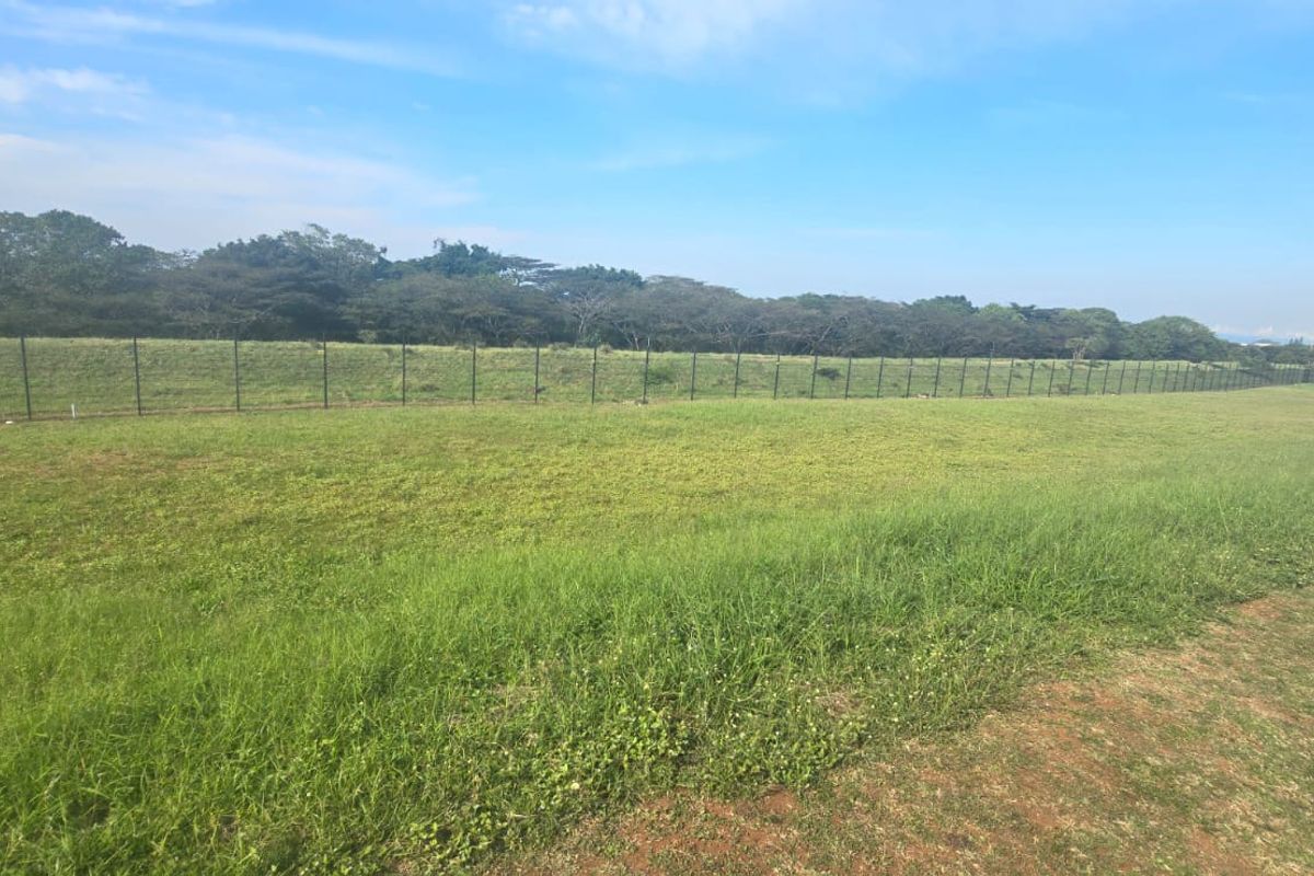 A wide, open residential plot featuring a well-maintained grass lawn and secure perimeter fencing, offering a clear space for future development.