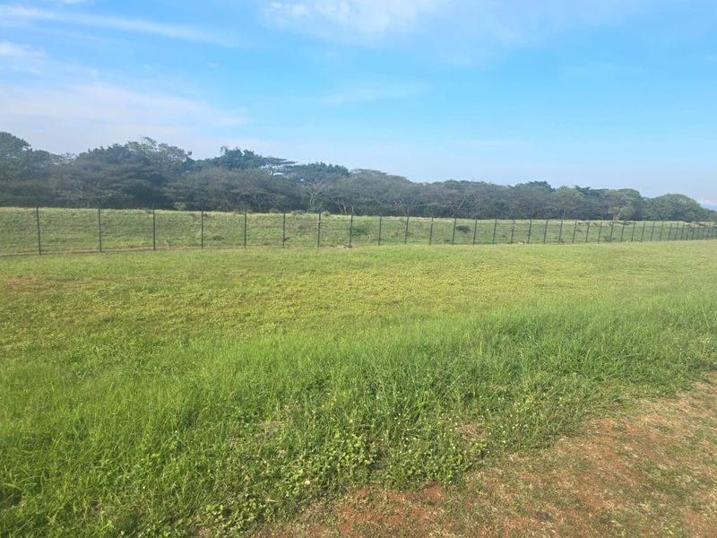 A wide, open residential plot featuring a well-maintained grass lawn and secure perimeter fencing, offering a clear space for future development.