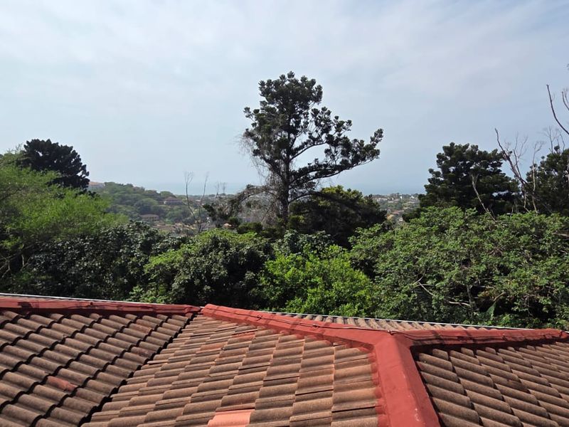 An elevated view overlooking lush green trees and distant landscape, captured from the roofline of the property.
