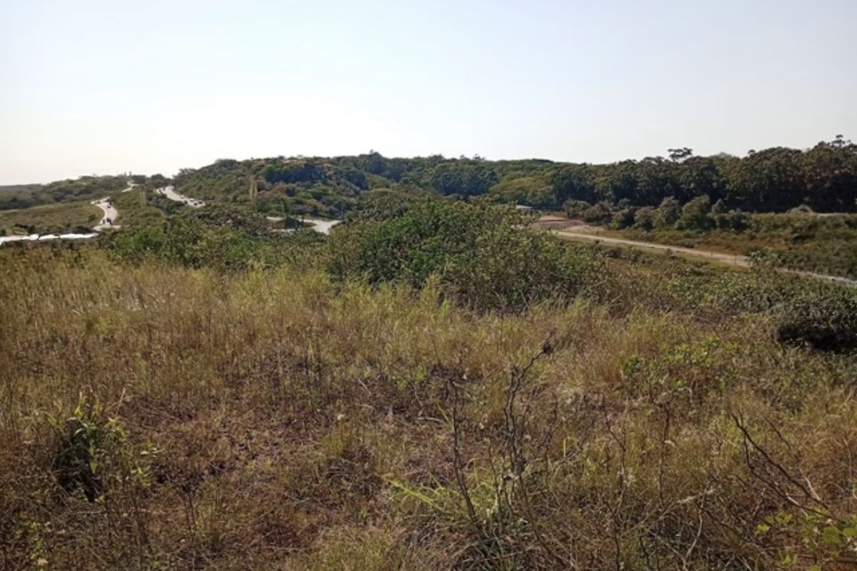 A wide-angle view of the vacant residential land featuring natural vegetation and surrounding landscape.
