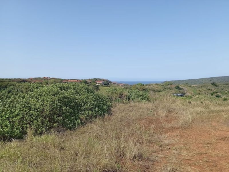 A scenic view of the surrounding coastal landscape and natural vegetation, showcasing the open terrain of the vacant residential land.