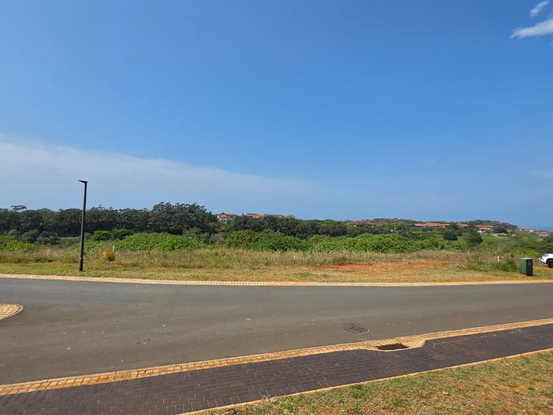 A view of a vacant residential plot featuring paved road access and established street infrastructure in a coastal estate setting.