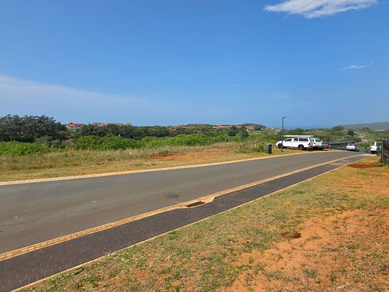 A view of the paved residential street and curb infrastructure within the estate, featuring surrounding natural landscape and clear road access.