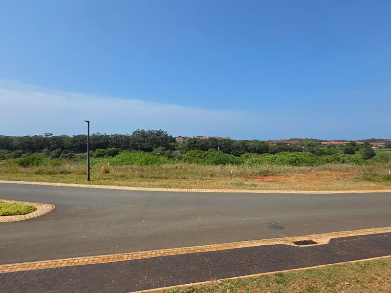 A view of a vacant residential plot featuring paved road access, curbs, and established street infrastructure in a coastal estate setting.