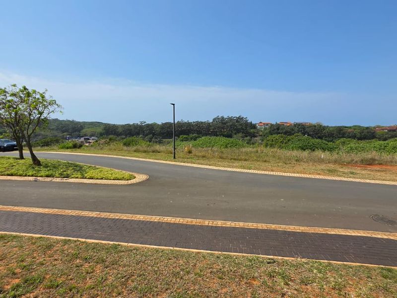 A view of the paved street and sidewalk infrastructure within a residential estate, featuring established landscaping and clear road access.