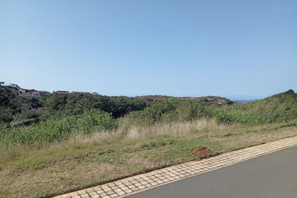 A view of the surrounding landscape and coastal vegetation from the edge of a paved residential road.