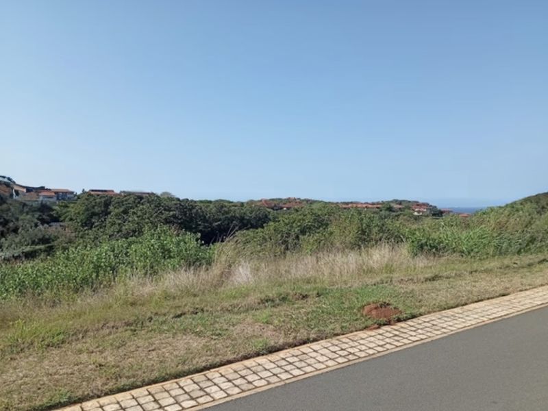 A view of the surrounding landscape and coastal vegetation from the edge of a paved residential road.