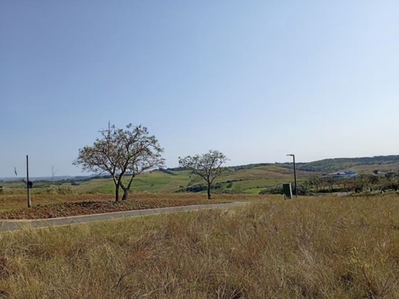 A scenic view of the vacant residential land featuring natural landscape, mature trees, and existing paved road infrastructure.