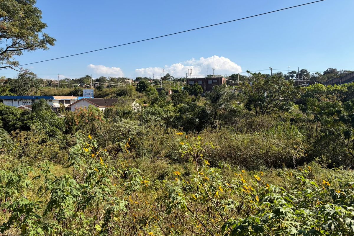 Prime Vacant Land for Sale – Duffs Road | 1,059m2 - Photo 5