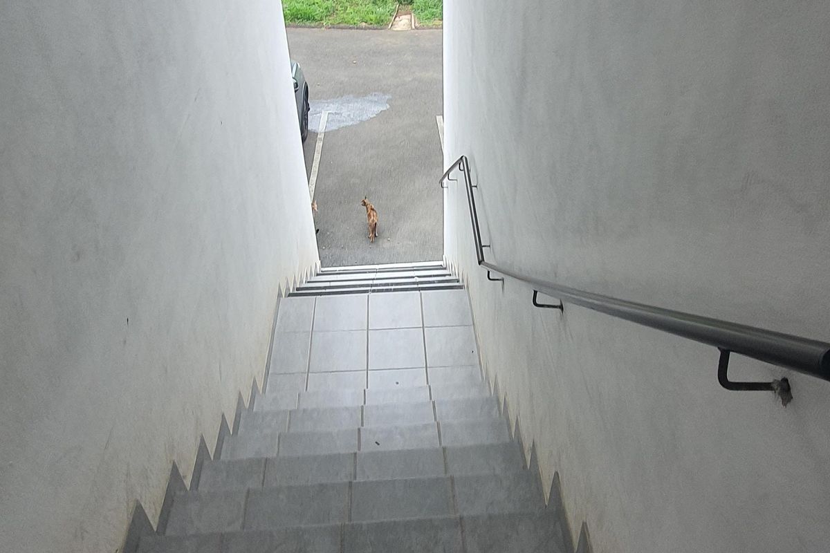 An exterior staircase with tiled steps and a metal handrail leading down to a paved parking area.