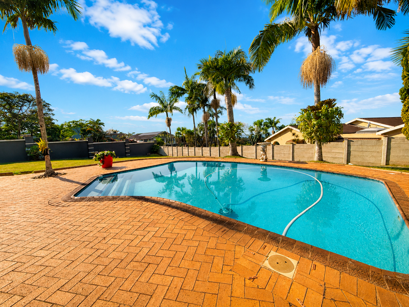 A well-maintained outdoor swimming pool area featuring a paved deck, perimeter boundary walls, and mature palm trees in a sunny garden setting.