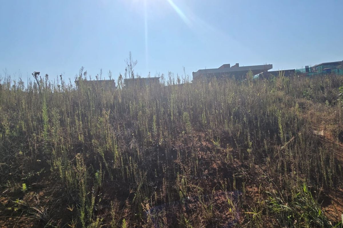 A view of a vacant residential plot featuring sloped terrain and natural vegetation, ready for future development.
