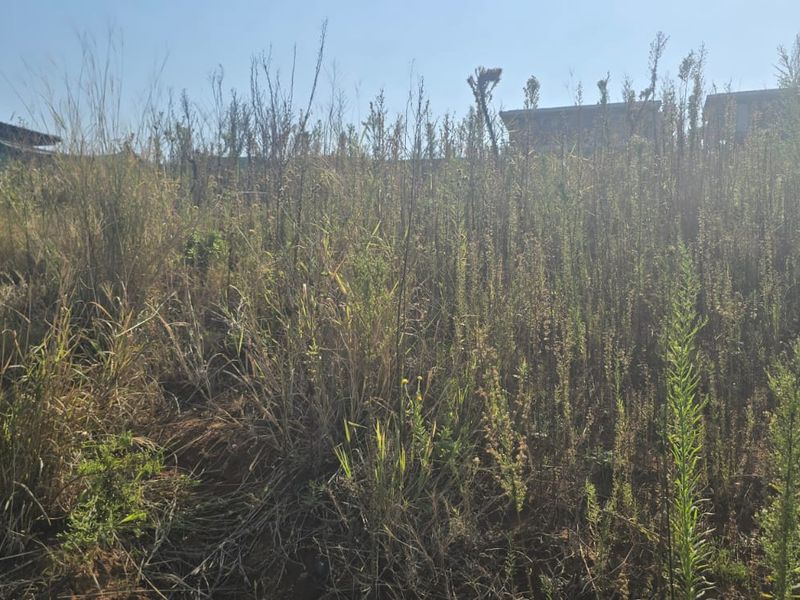 Prime Vacant Land for Sale – Salta Estate, Sibaya - Photo 3