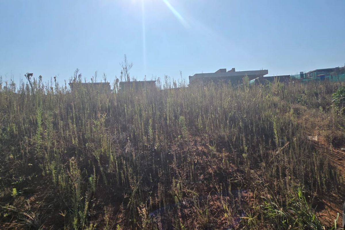 A view of a vacant residential plot featuring sloped terrain and natural vegetation, ready for development.