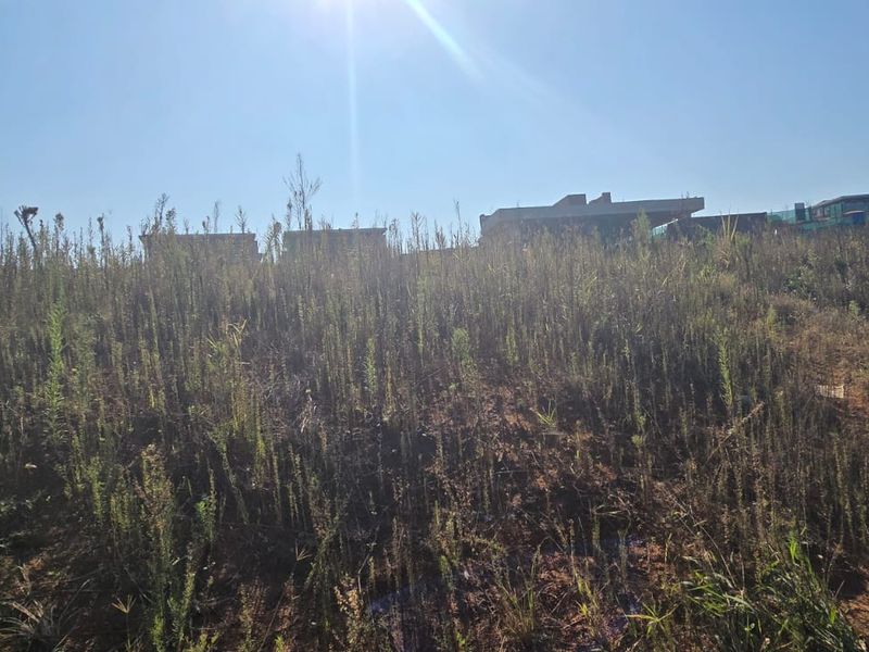 Prime Vacant Land for Sale – Salta Estate, Sibaya - Photo 5