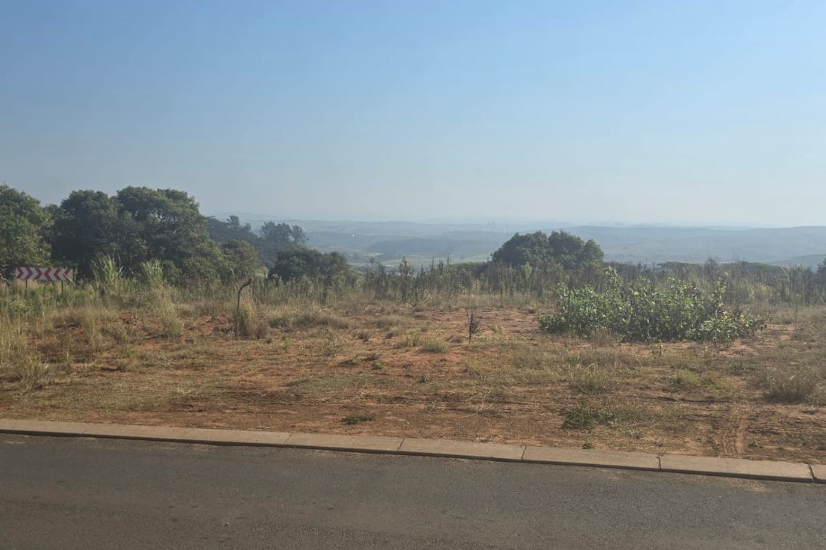 A view of the vacant residential land from the adjacent asphalt road, featuring natural vegetation and distant landscape vistas.