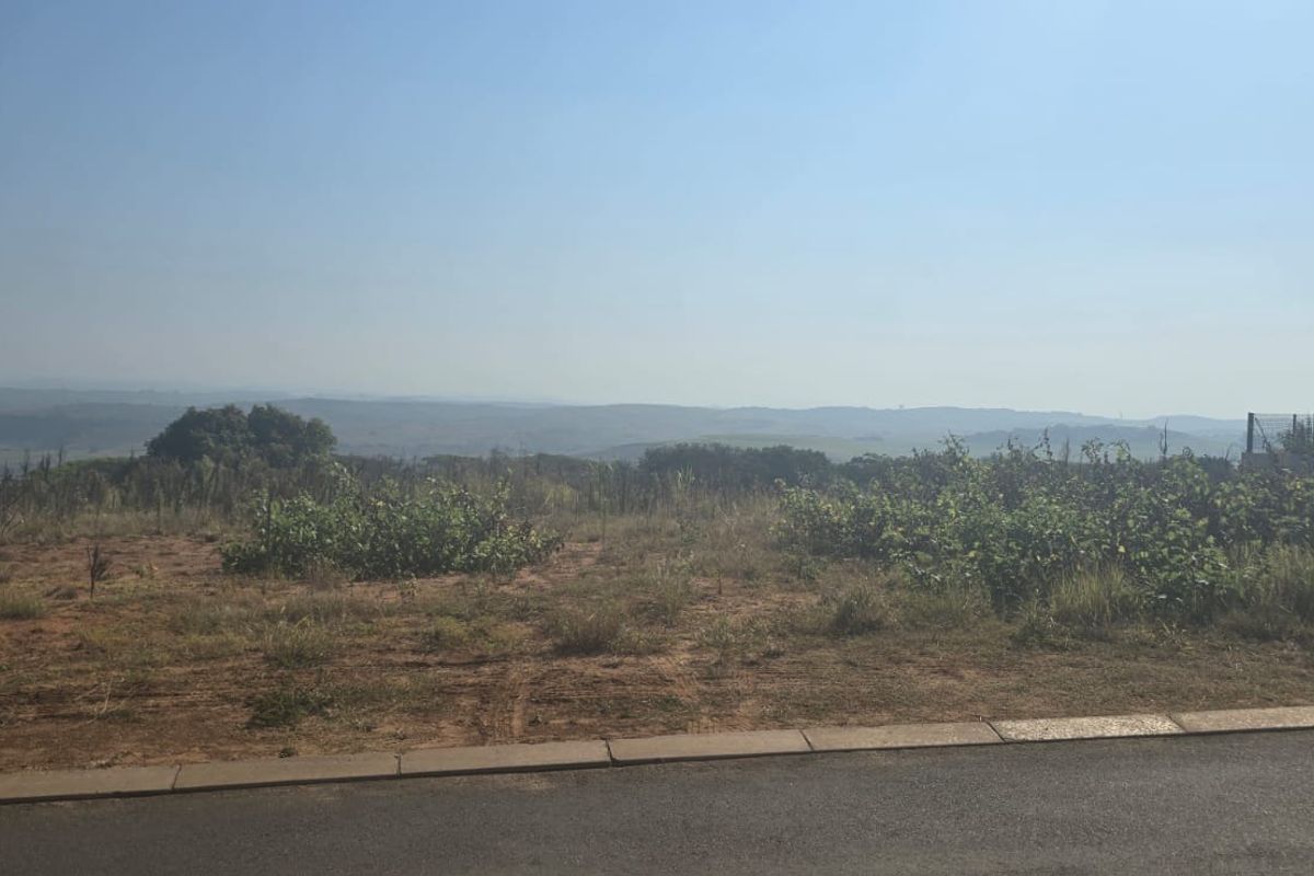 A view of the vacant residential land featuring natural vegetation and a paved road in the foreground with distant landscape views.