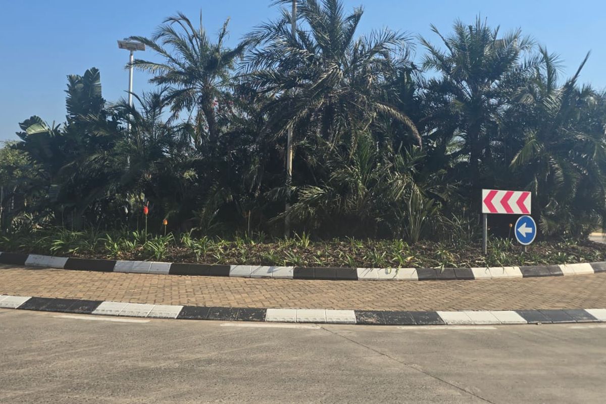 A view of a paved roundabout featuring a landscaped central island with mature palm trees and street lighting in a residential estate setting.