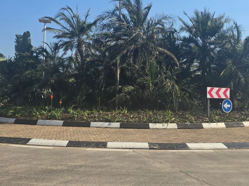Prime Vacant Land for Sale – Salta Estate, Sibaya - Photo 2