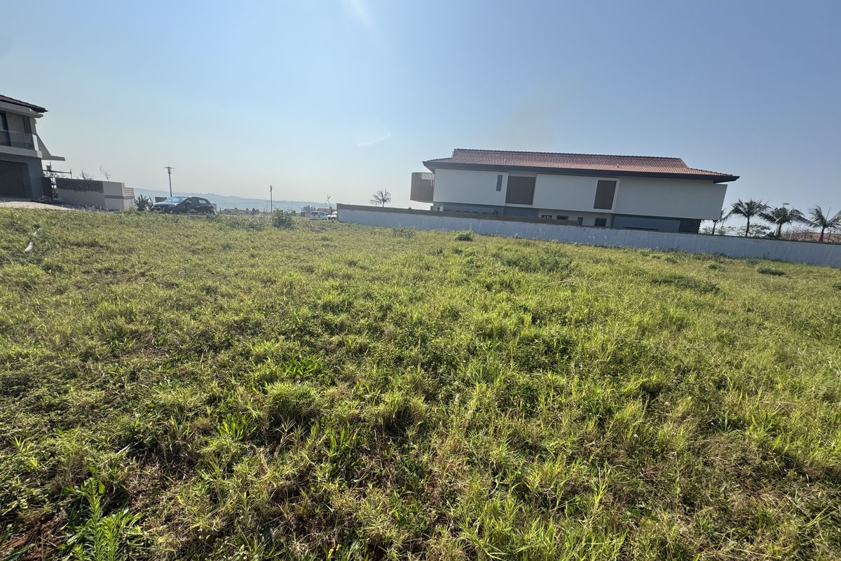 A vacant residential plot of land featuring natural grass coverage and a boundary wall, situated in a developed neighborhood setting.