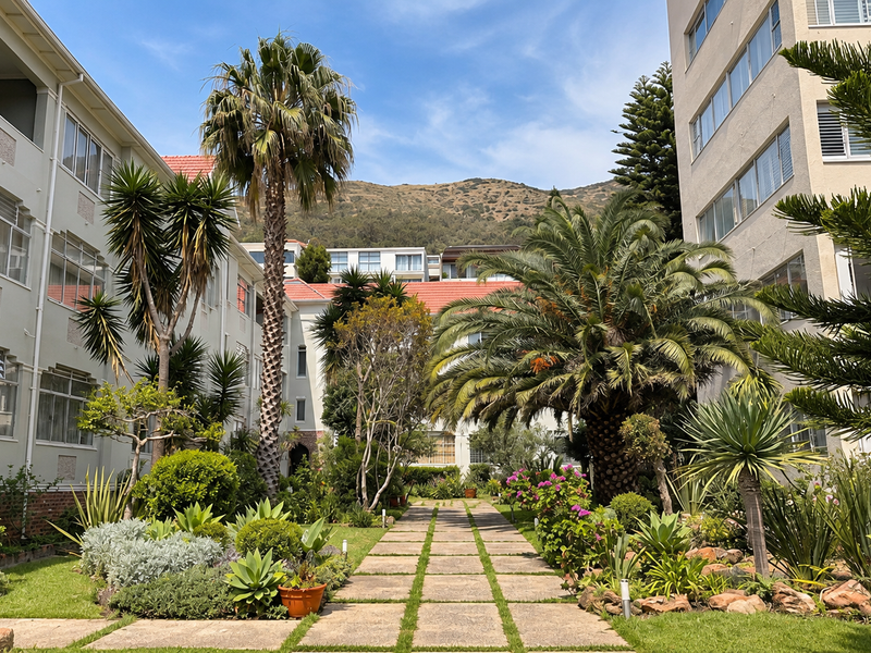 A well-maintained central courtyard garden featuring a paved walkway between two apartment building wings with mature palm trees and established landscaping.