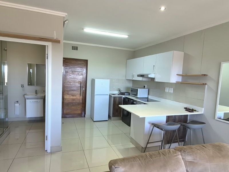 Open-plan living area featuring a modern kitchen with built-in cabinetry and island, adjacent to a tiled bathroom with a glass shower enclosure.