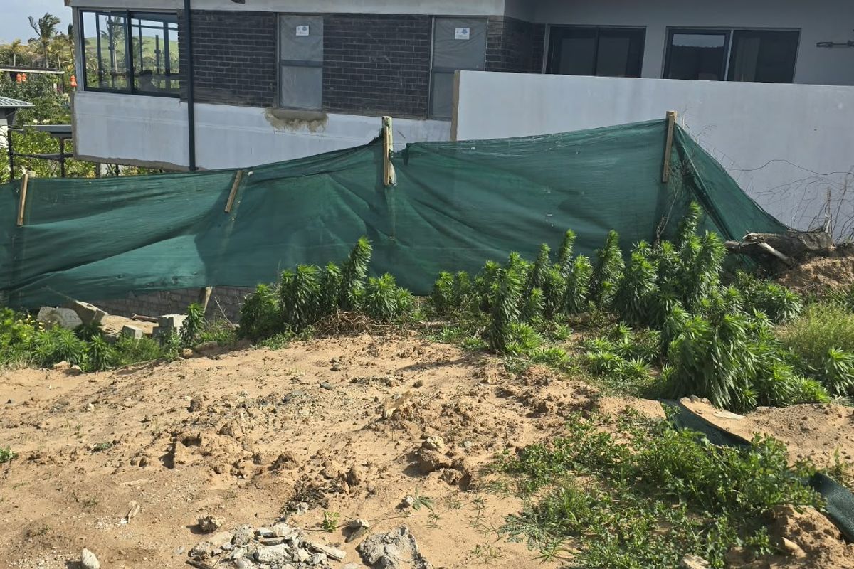 A view of a residential plot under development, featuring uneven sandy ground, construction debris, and temporary green privacy screening against a neighboring property.